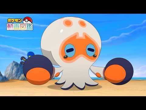 【公式】「ポケモン動画図鑑」No.0852 タタッコ