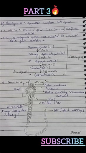 Part 3 chapter 2nd Human Reproduction