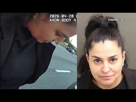 Florida immigration agency defrauds hundreds of undocumented migrants out of $20M, sheriff says