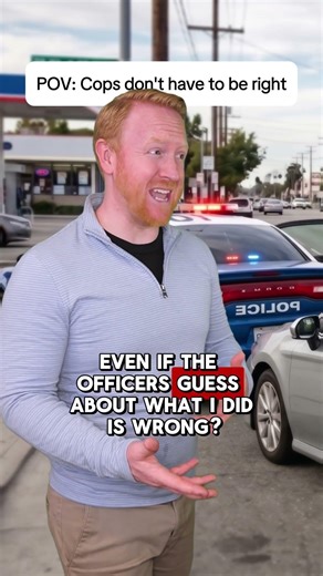 What Triggers POLICE Searches during Traffic Stops??