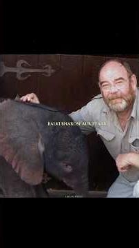 When Lawrence Anthony, known as the "Elephant. #elephant #kindness #humanity #wisdom #wildlife