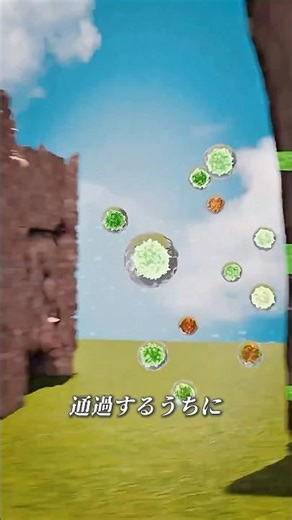 Can a person survive radiation exposure inside a cockroach?