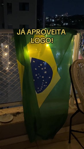Bandeira do Brasil! Aproveita porque ano que vem vai provavelmente SUBIR. #brasil #bandeira #patria