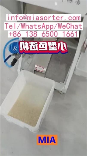 Advanced Technology OEM Color Sorting Machine Complete Solution Chinese Manufacturer USA France Japa