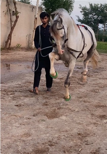 Aty mola — Makhdum Peer Abid Shah Makhdum Hight