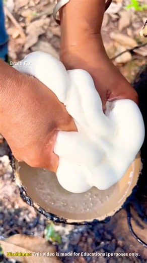 The Magical Skill of Rubber Farming! 🏭