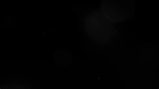 Firework by Katy Perry - Lyrics