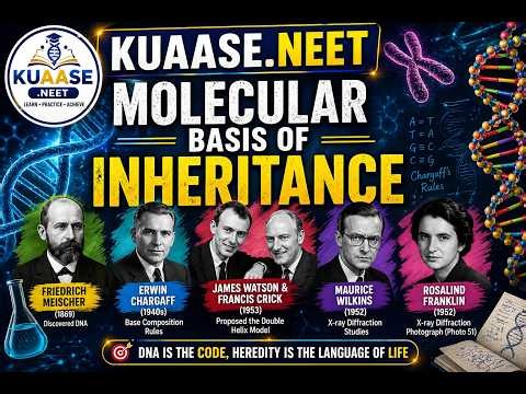 Molecular Basis of Inheritance | DNA Discovery & Scientists | NEET Biology