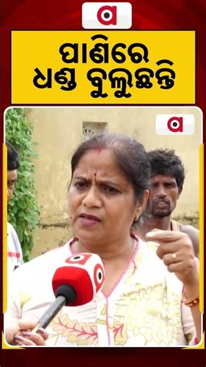 ପାଣିରେ ଧଣ୍ଡ ବୁଲୁଛନ୍ତି | Argus Reels | Waterlogging | Bhubaneswar Rain | Heavy Rain | ArgusNews