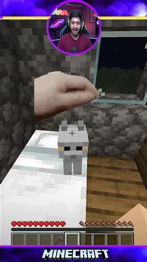That’s not my Cat 💀💀💀#shortsvideo #minecraft #new
