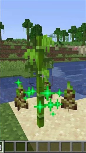 java vs Bedrock | BIG Differences You Need to Know! @Bubuplayz