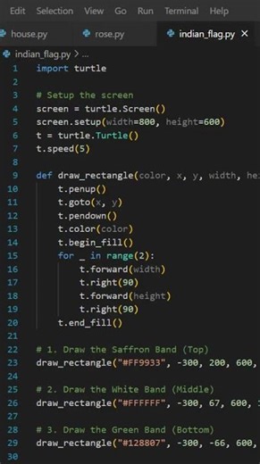 How to Draw Indian Flag using Turtle Python #turtle #python