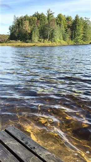 Lake in Fall 2026 E39: Cold September Sunlight on a Metallic Lake #Nature #Lake