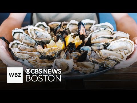 Some shellfish restrictions lifted in parts of Boston Harbor