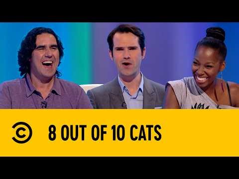 Scandals Of The Century | 8 Out Of 10 Cats