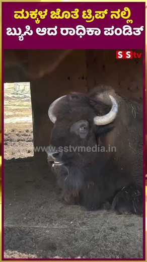 ಮಕ್ಕಳ ಜೊತೆ ಟ್ರಿಪ್ ನಲ್ಲಿಬ್ಯುಸಿ ಆದ ರಾಧಿಕಾ ಪಂಡಿತ್ | Radika Pandith | SStv GLIMPSE