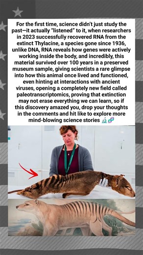 Scientists Just Heard The Voice Of An Extinct Animal Again