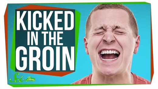 Why does getting kicked in the groin hurt so much?