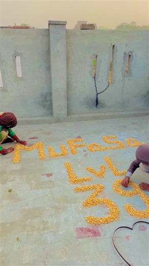 Mufasa: The Iconic King of the Jungle