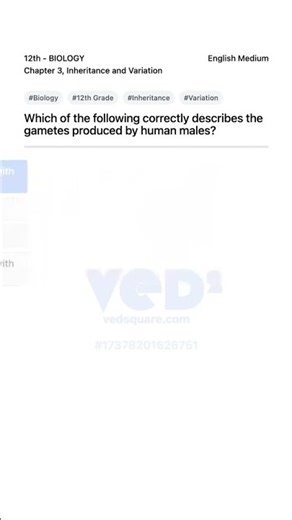 12th Biology Inheritance Variation Human Male Gametes