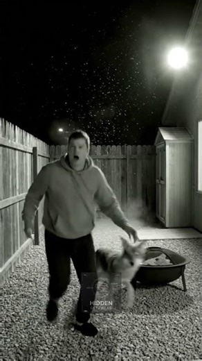 U.S. Backyard Night Cam Intruder Runs In Coyote Attacks Instantly | Intense Dual-Event CCTV Footage