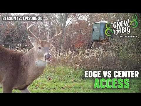 Choosing the Best Deer Access Route