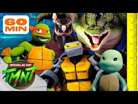 Ranking Teenage Mutant Ninja Turtles Characters by HEIGHT! 📏 | TMNT (2012)
