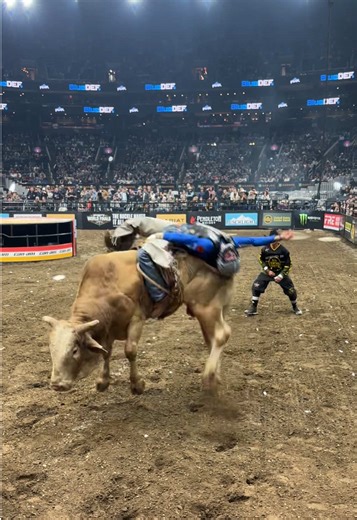 Bob Mitchell's Thrilling Bull Riding Adventures
