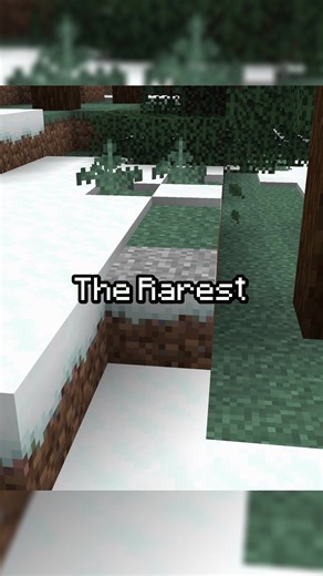 Discover the Rarest Blocks in Minecraft