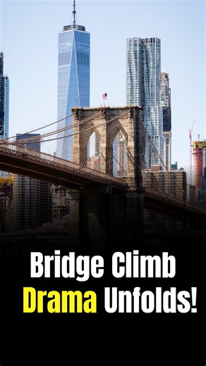 Brooklyn Bridge climb sparks chaos as NYPD rescues man after two-hour operation
