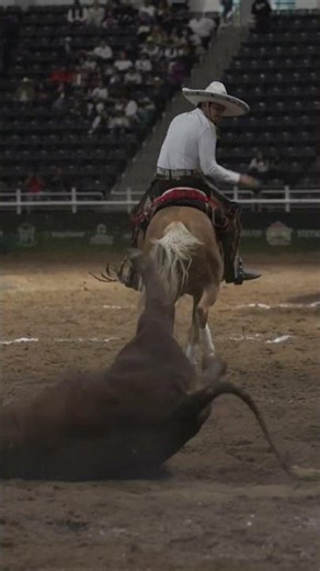 LXXXII Congreso y Campeonato Nacional Charro San Luis Potosí 2026 #charreria