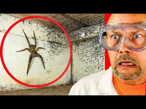 Terrifying Creatures Caught on Camera