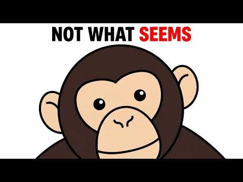 You Think You Understand Chimpanzees… You Don’t