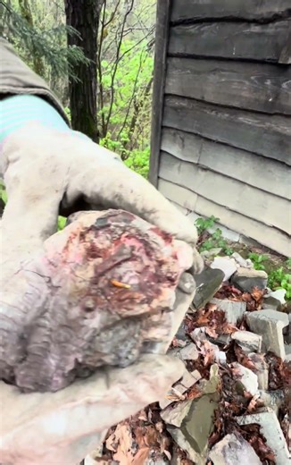 CHARRED 🔥RUBBLE ABANDONED HOUSE ALIEN REMAINS? FOSSIL? I CAN’T BELIEVE #aliens #mystery #disclosure