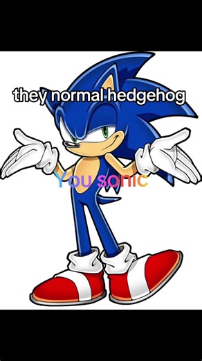 Sonic Silver’s Version of the Hedgehog Story