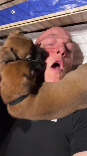 We will make a srs video about what makes an ethical breeder in future, but this should def be part of it. Lol