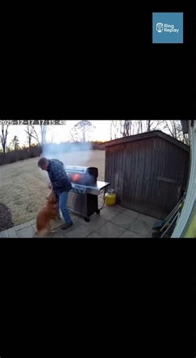 Golden Retriever Saves Owner as Gas Grill Ignites a Violent Shed Blast