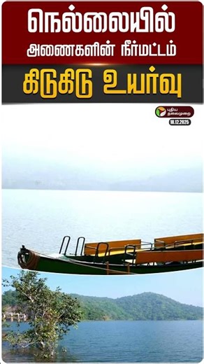 நெல்லையில் அணைகளின் நீர்மட்டம் கிடுகிடு உயர்வு! | #nellai | #dam | #weatherupdate | #rain | PTD