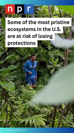 NPR: https://www.npr.org/2026/08/04/nx-s1-5901015/some-of-the-most-pristine-ecosystems-in-the-u-s-are-losing-protections | Papahānaumokuākea Coalition