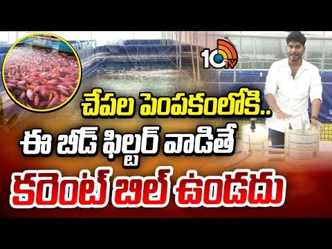 Fish Farming |Zero Electricity Bill | చేపల పెంపకంలోకి.. ఈ బీడ్ ఫిల్టర్ వాడితే కరెంట్ బిల్ ఉండదు|10TV