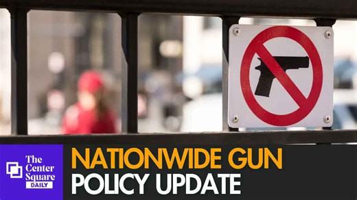 Second Amendment showdown: DOJ budget, FOID card changes, and state gun bills
