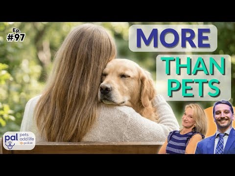 The Healing Power of Dogs + Pet Care in 2026 (New Year Special) | Pets Add Life Ep. 97