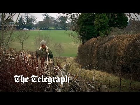 King Charles appears in trailer for new Amazon documentary about the environment