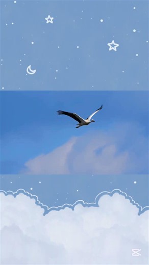 🌟Top Incredible Stork Facts You Probably Didn't Know🌟