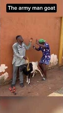 The army man goat