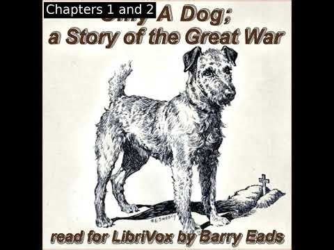 Only a Dog; a Story of the Great War by Bertha Whitridge Smith read by Barry Eads | Full Audio Book