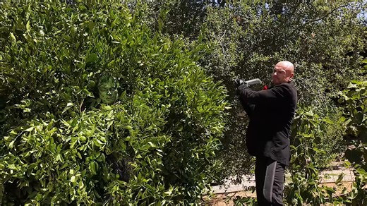 Hidden rooms and camouflage put to the ultimate test against a hunter