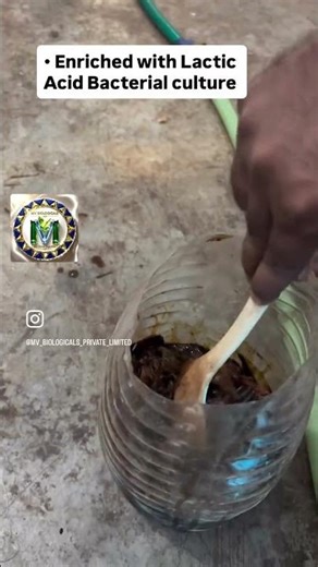 From Waste To Wealth🐟🐠