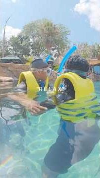 We had so much fun at @discoverycove with our friend @BriChief ❤️🐬 Bae was soo scared 😂😂