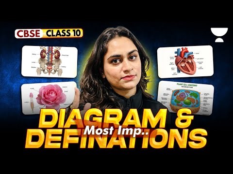 Most Important Diagrams & Definitions | Class 10 Biology | Shivangi Mam